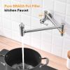 APPASO Pot Filler Faucet Wall Mounted